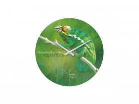 Часы настенные Nicole Time NT503 в Дубровино - dubrovino.mebel-nsk.ru | фото