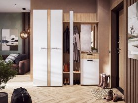Модульная прихожая Санса (дуб сонома/белый) в Дубровино - dubrovino.mebel-nsk.ru | фото